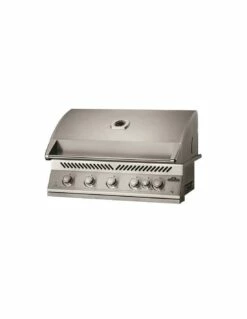 BARBECUE GAZ ENCASTRABLE NAPOLEON BIG 38