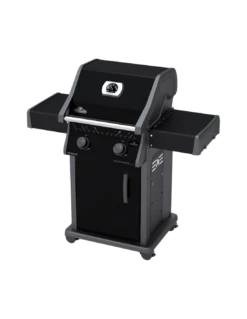 BARBECUE ROGUE 2 BRULEURS R365PK - NAPOLEON