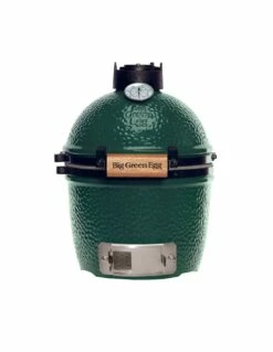 BIG GREEN EGG MINI