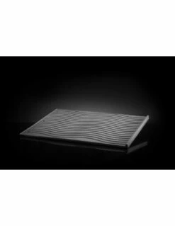 Napoleon PLANCHA FONTE POUR ROGUE 425